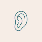 Noun ear 4303346 316F7D