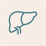 Noun liver 8310369 316F7D