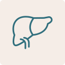 Noun liver 8310369 316F7D (3)2